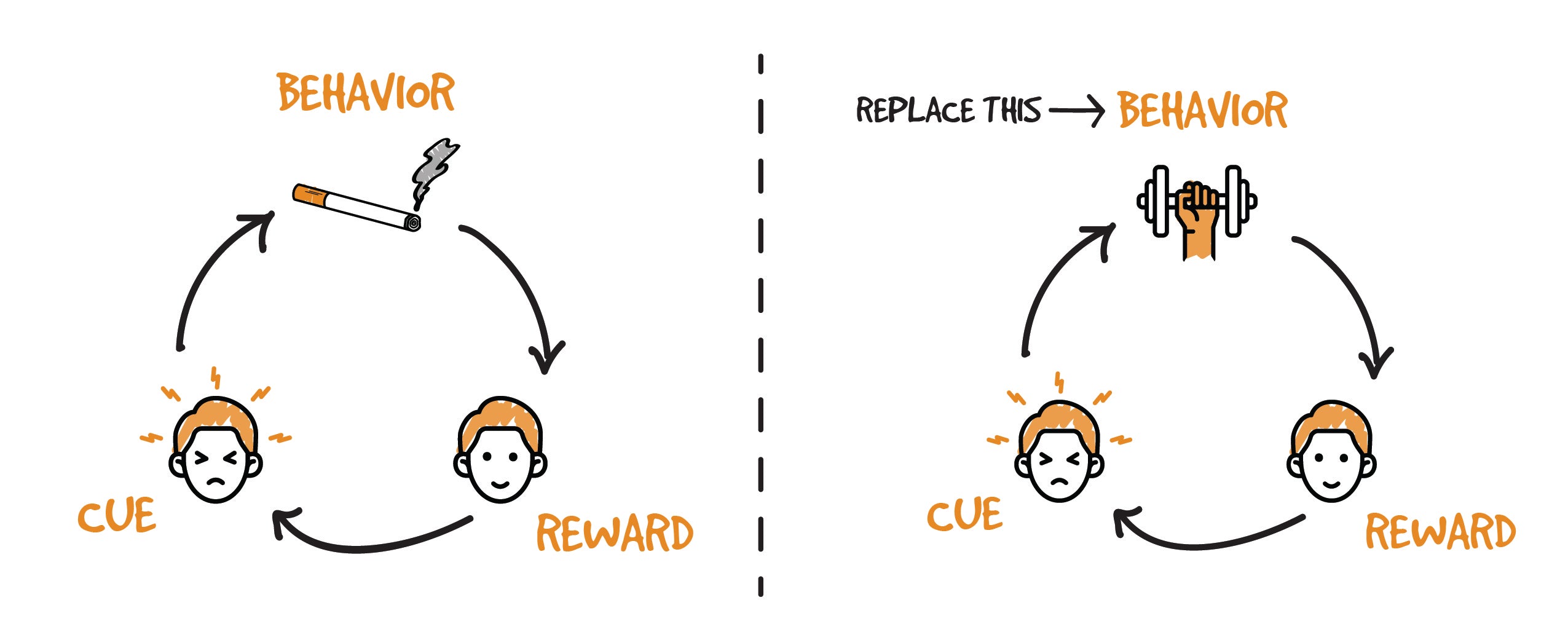 Quick Tips: The Habit Loop – Behavior Shift